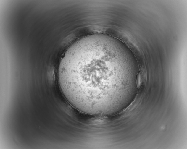 X0000096950128200802221330