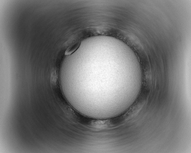 X0000096950129200802221330
