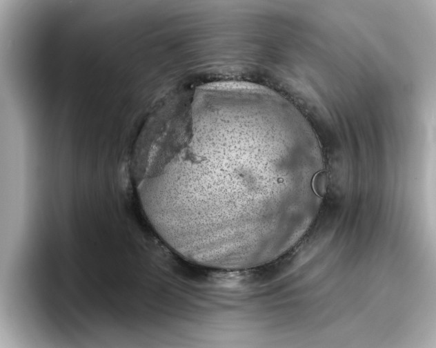 X0000096950131200802221330
