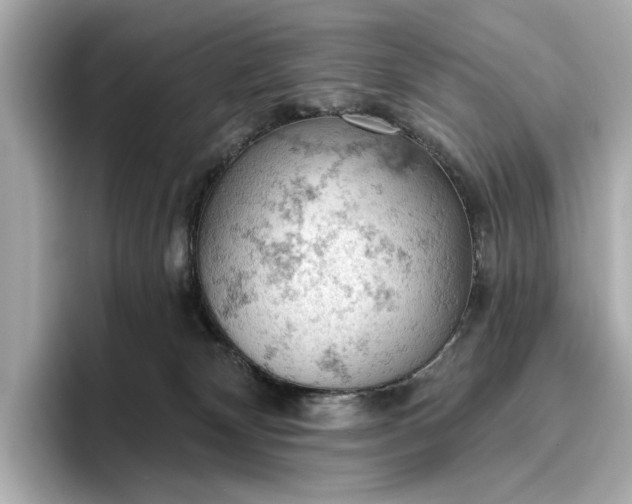 X0000096950132200802221330