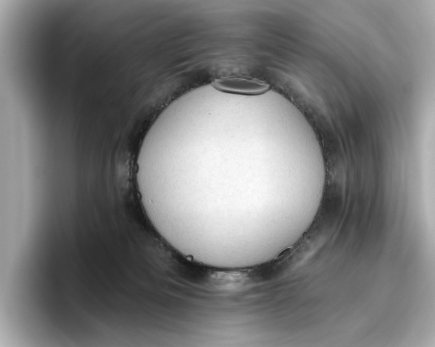 X0000096950133200802221330