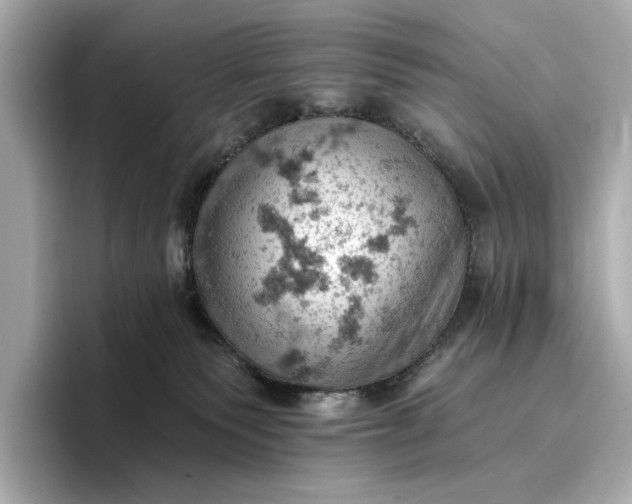X0000096950135200802221330
