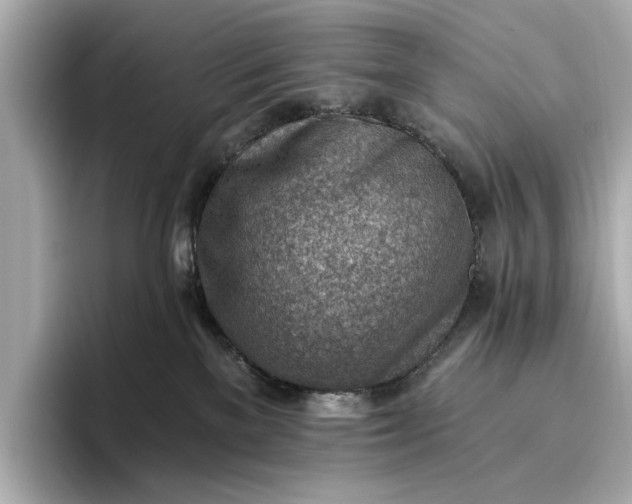 X0000096950137200802221330