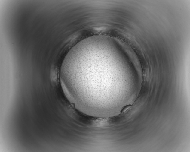 X0000096950138200802221330