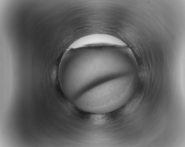 X0000096950139200802221330