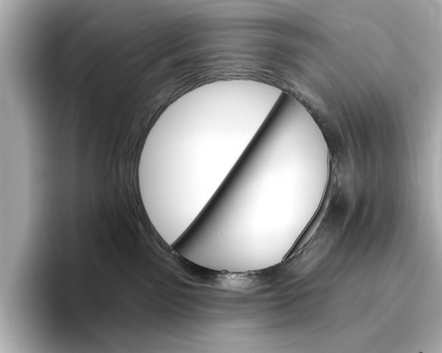 X0000096950141200802221329