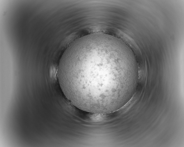 X0000096950142200802221329