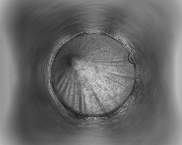 X0000096950145200802221329