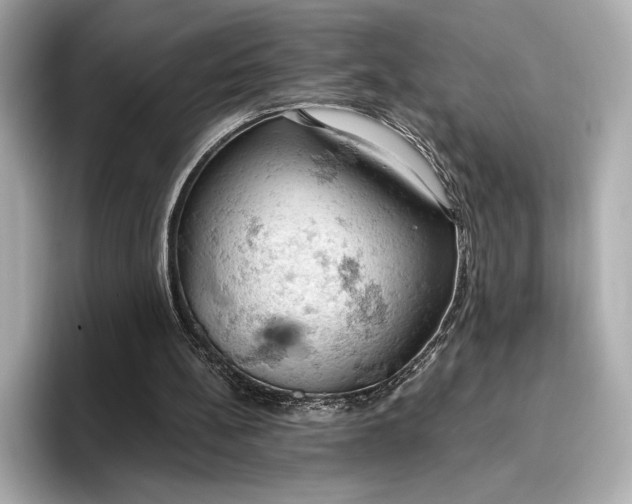 X0000096950148200802221329