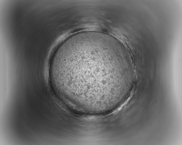 X0000096950149200802221329
