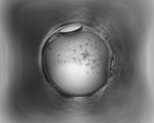 X0000096950150200802221329
