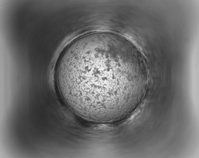 X0000096950151200802221329