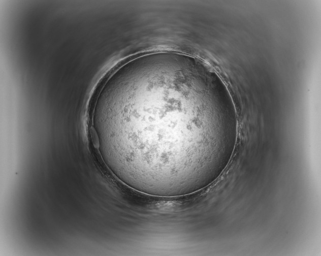 X0000096950152200802221329