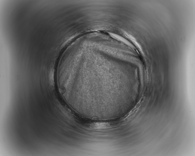 X0000096950154200802221329