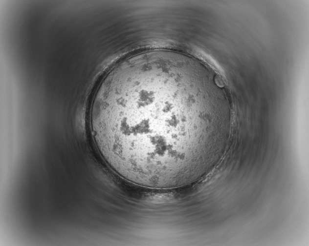 X0000096950155200802221329