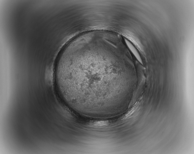 X0000096950156200802221329