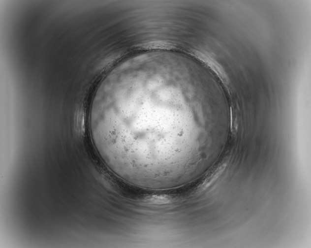 X0000096950157200802221329