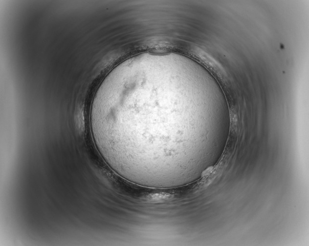 X0000096950158200802221329
