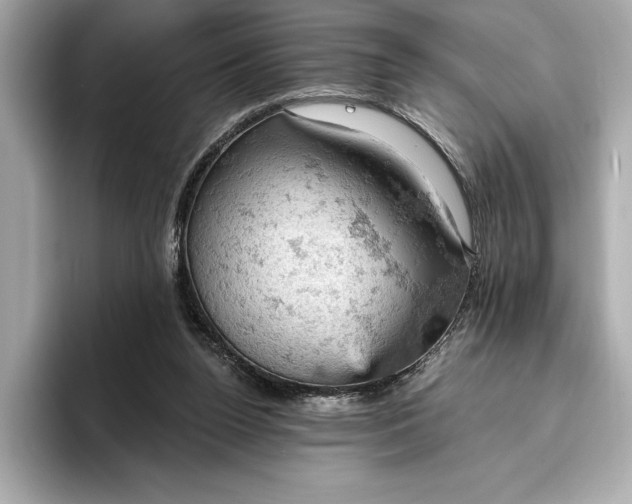 X0000096950160200802221329