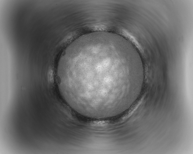 X0000096950161200802221329