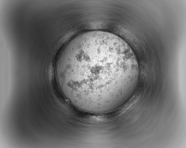 X0000096950164200802221329