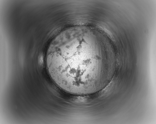X0000096950166200802221329
