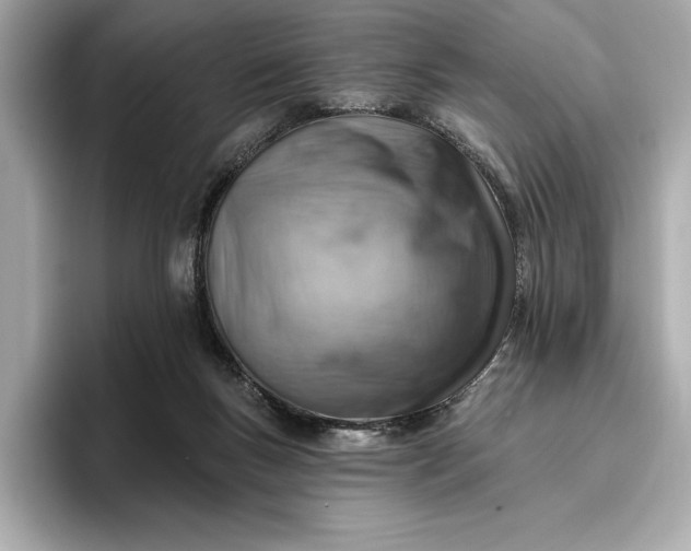 X0000096950167200802221329