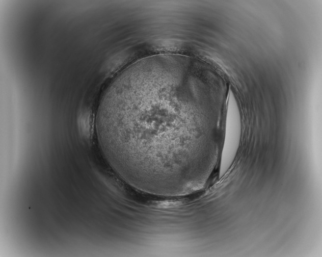 X0000096950168200802221329