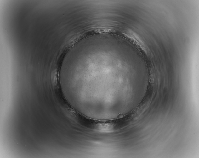 X0000096950169200802221329