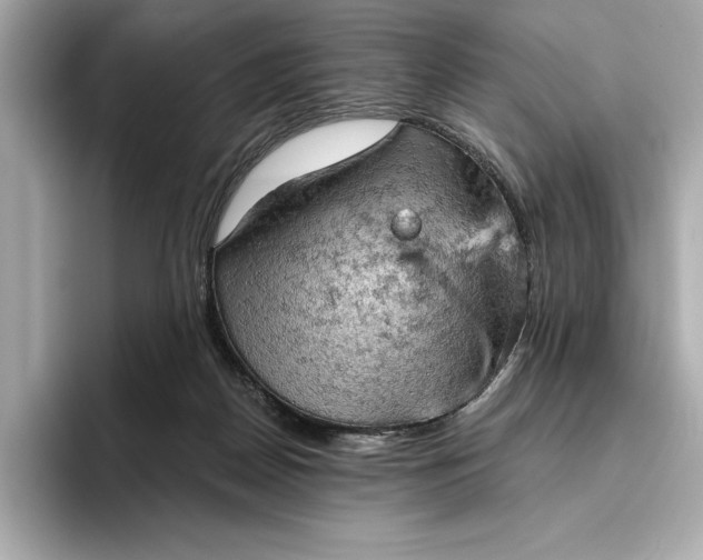 X0000096950170200802221329