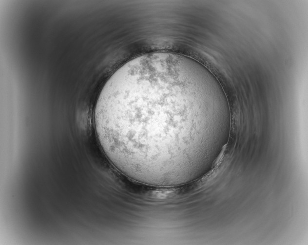 X0000096950172200802221329