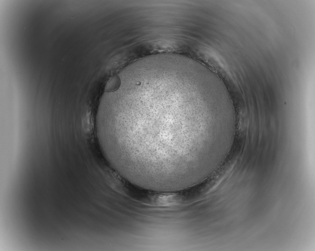 X0000096950173200802221329