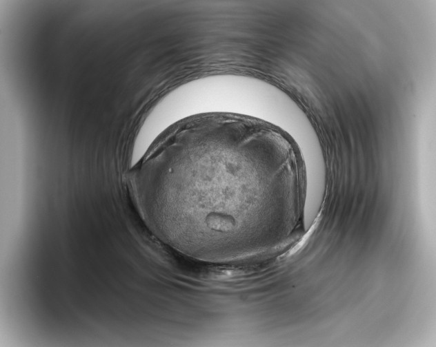 X0000096950174200802221329