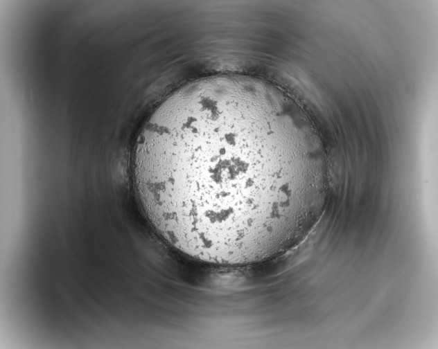 X0000096950175200802221329