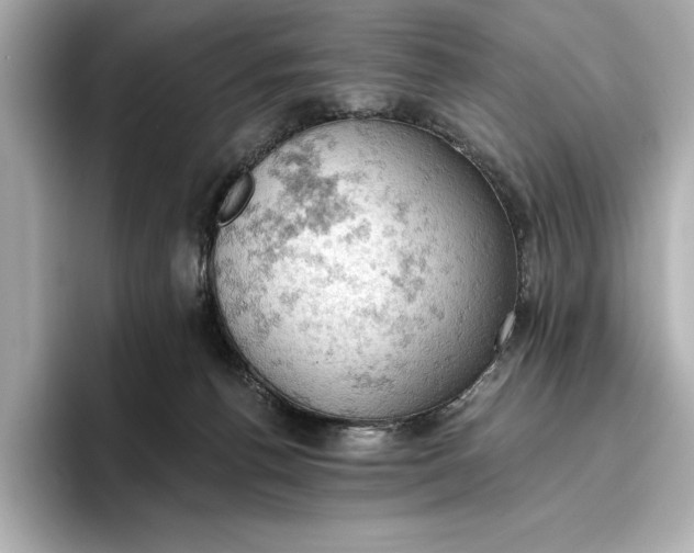 X0000096950176200802221329