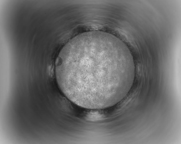 X0000096950177200802221329
