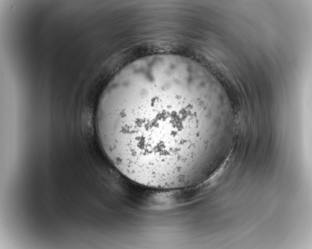 X0000096950178200802221329