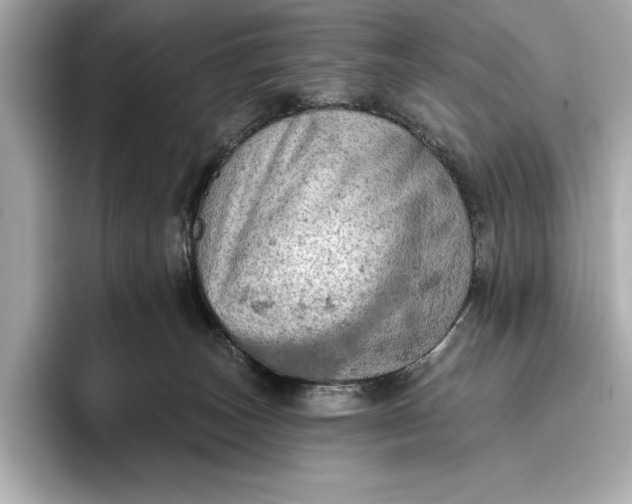 X0000096950179200802221329