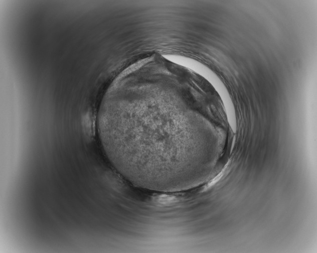 X0000096950180200802221329