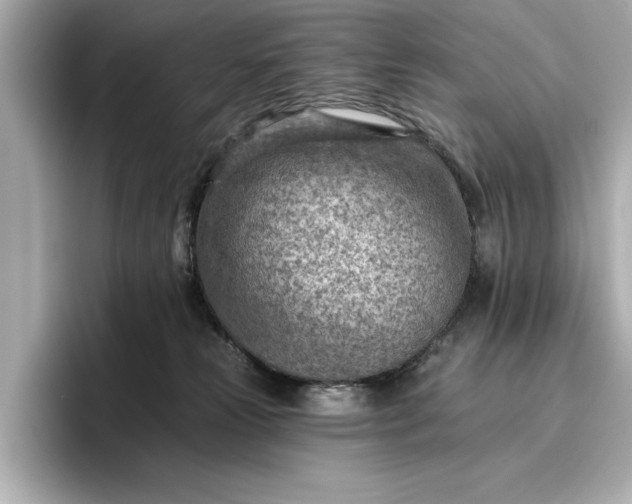 X0000096950181200802221329