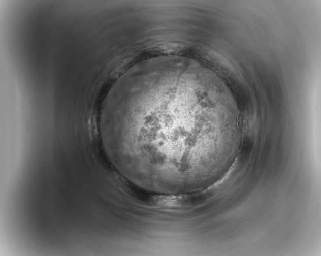 X0000096950182200802221329