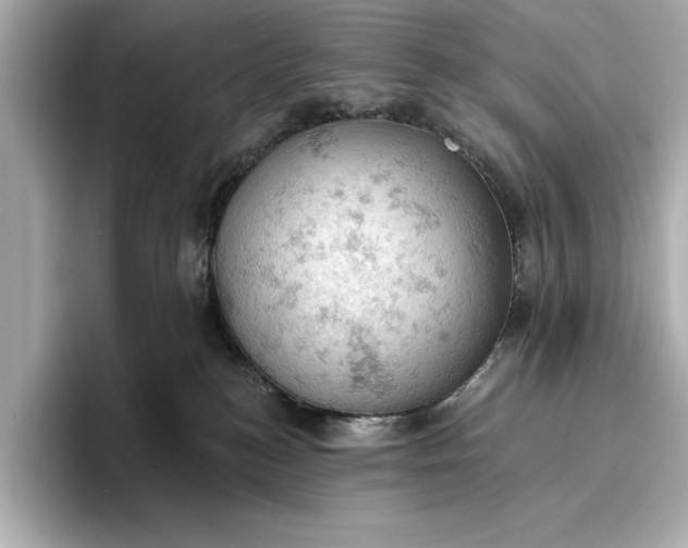 X0000096950184200802221329