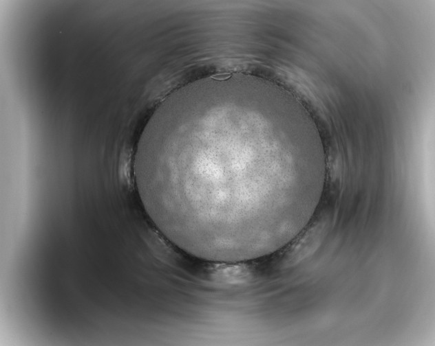X0000096950185200802221329