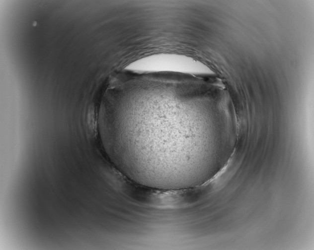 X0000096950186200802221329