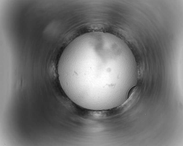 X0000096950187200802221329