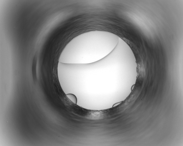 X0000096950189200802221329
