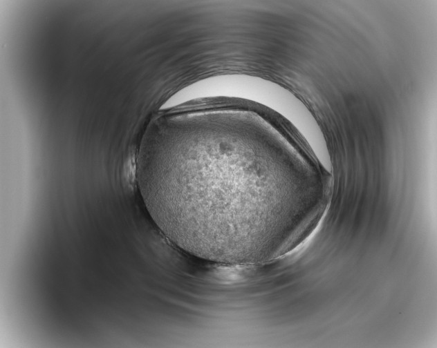 X0000096950190200802221329