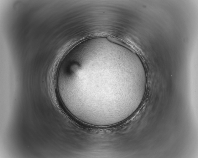 X0000096950193200802221329