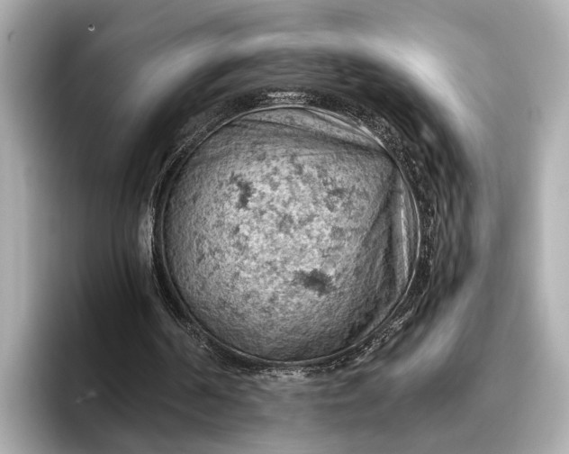 X0000096950194200802221329
