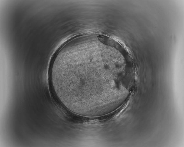 X0000096950196200802221329